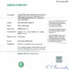 S1228 CERT