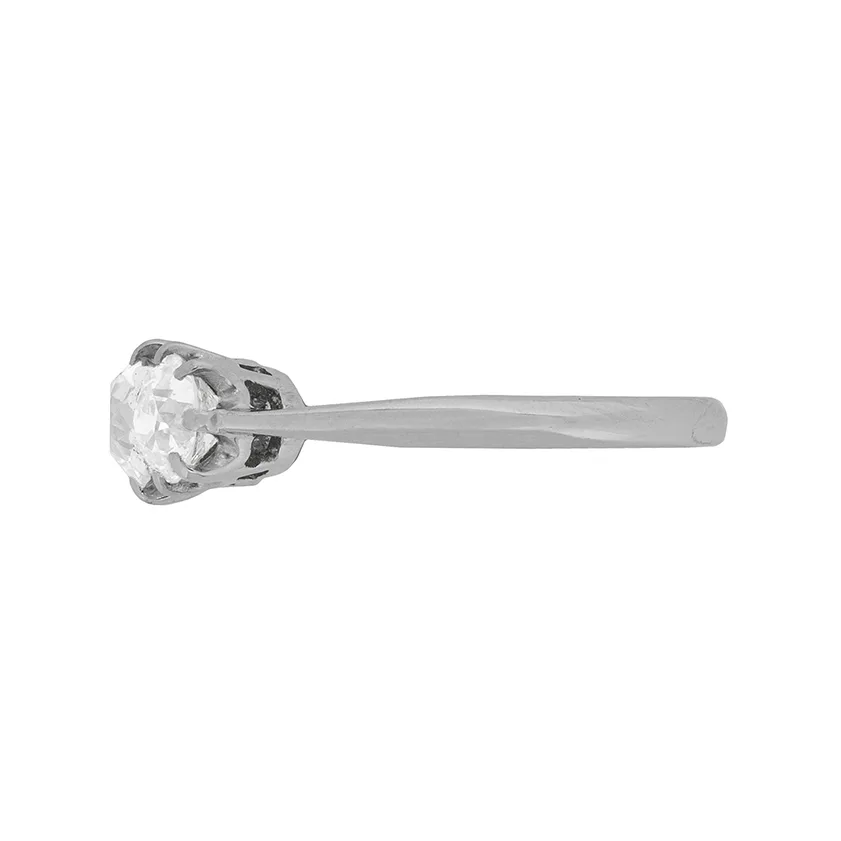 S1253C