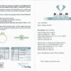 S1995 CERT