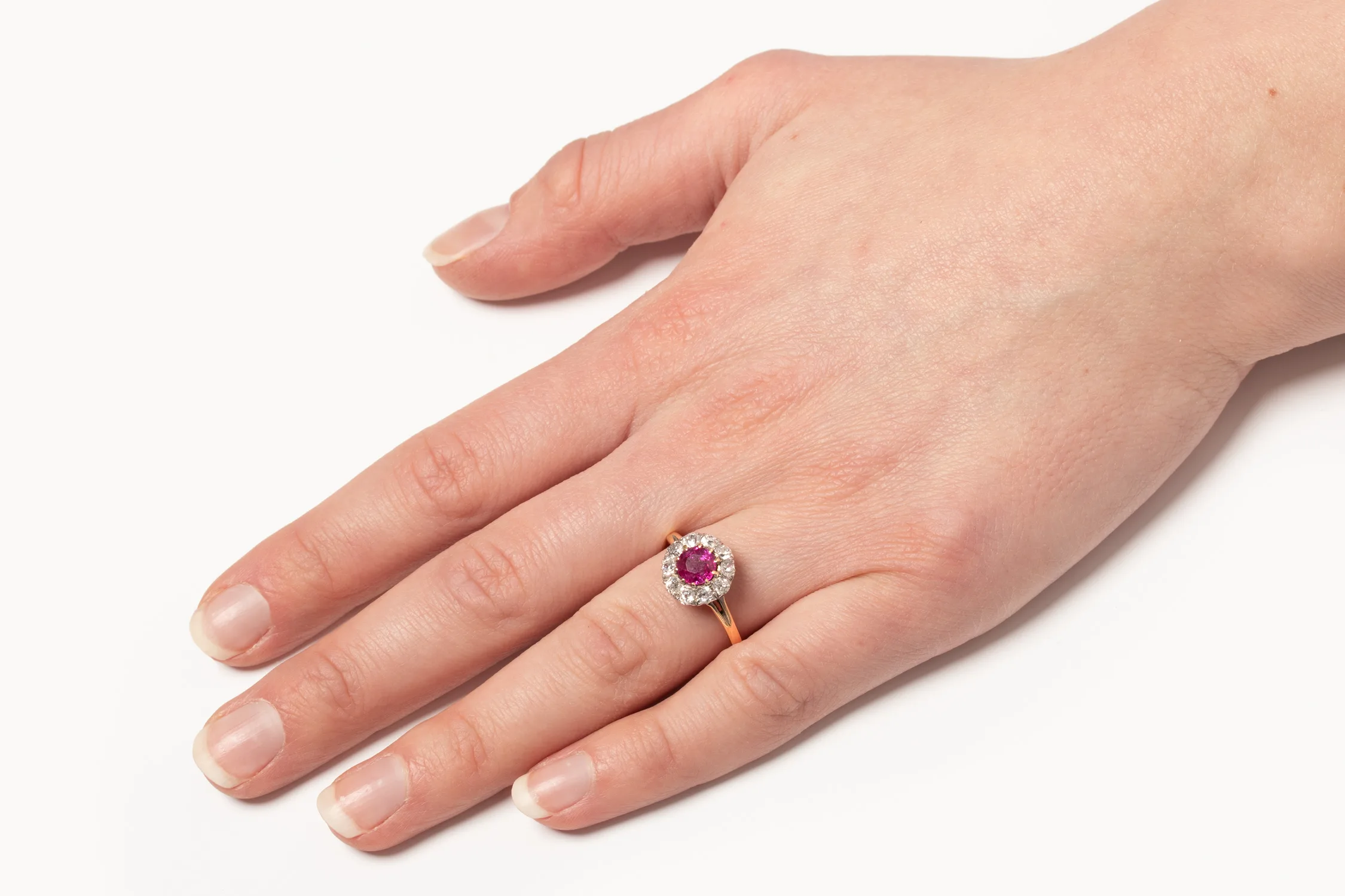 S2649-HAND