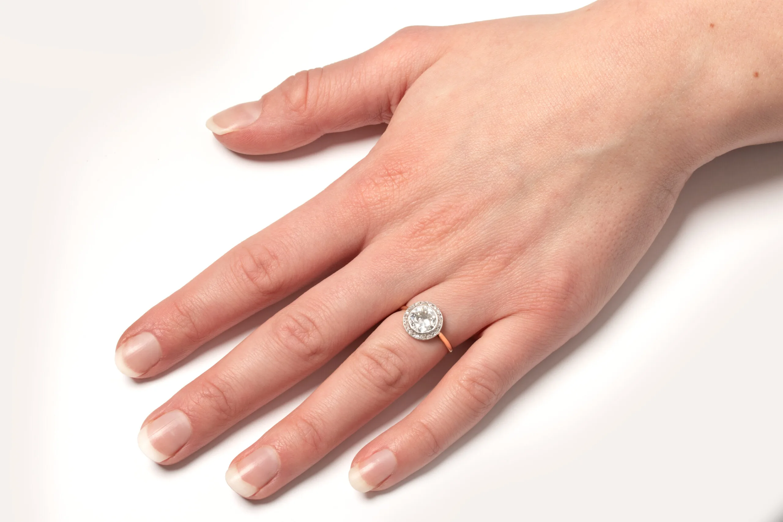 S3137-HAND-scaled