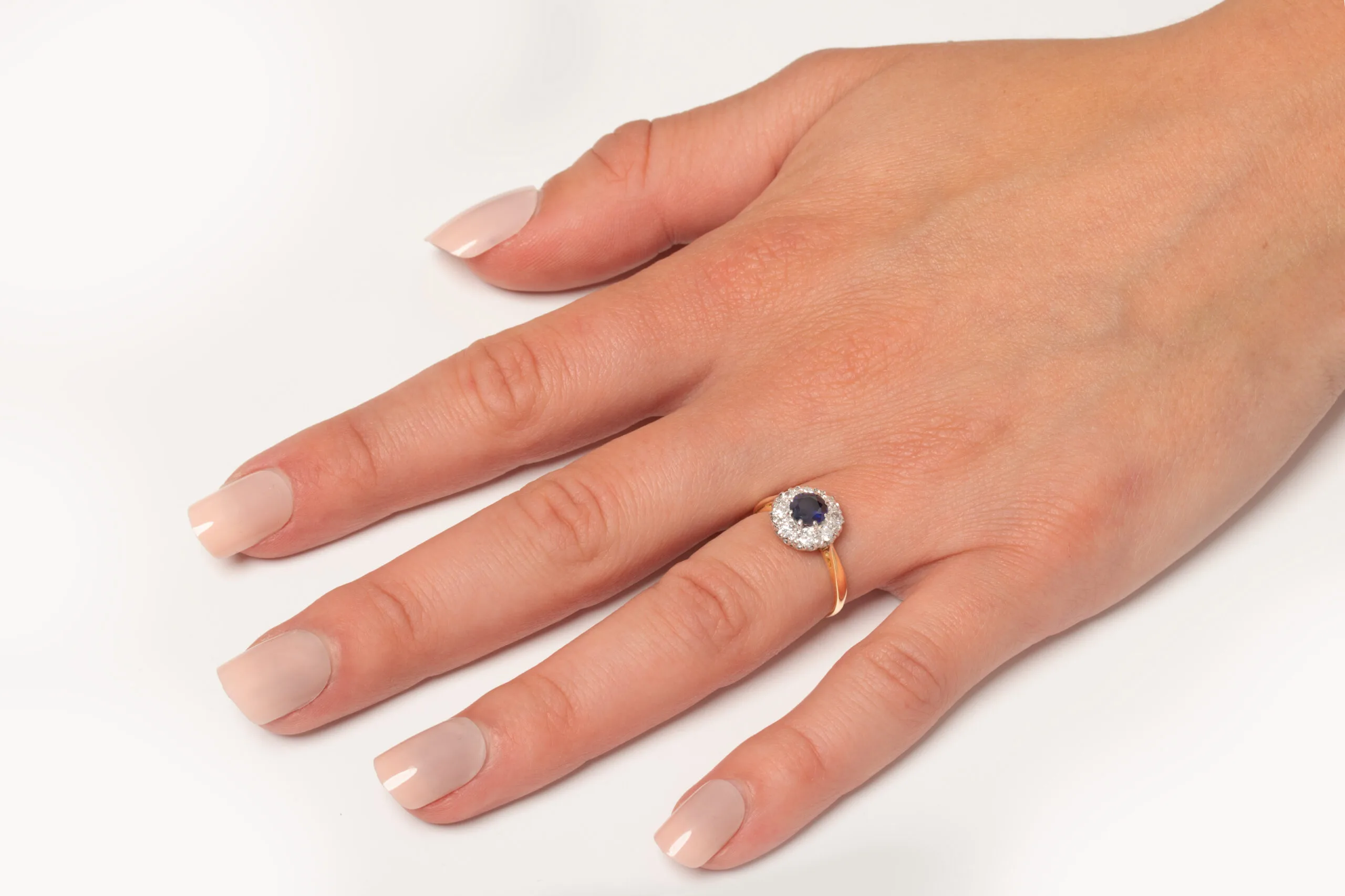 S3677-HAND-scaled