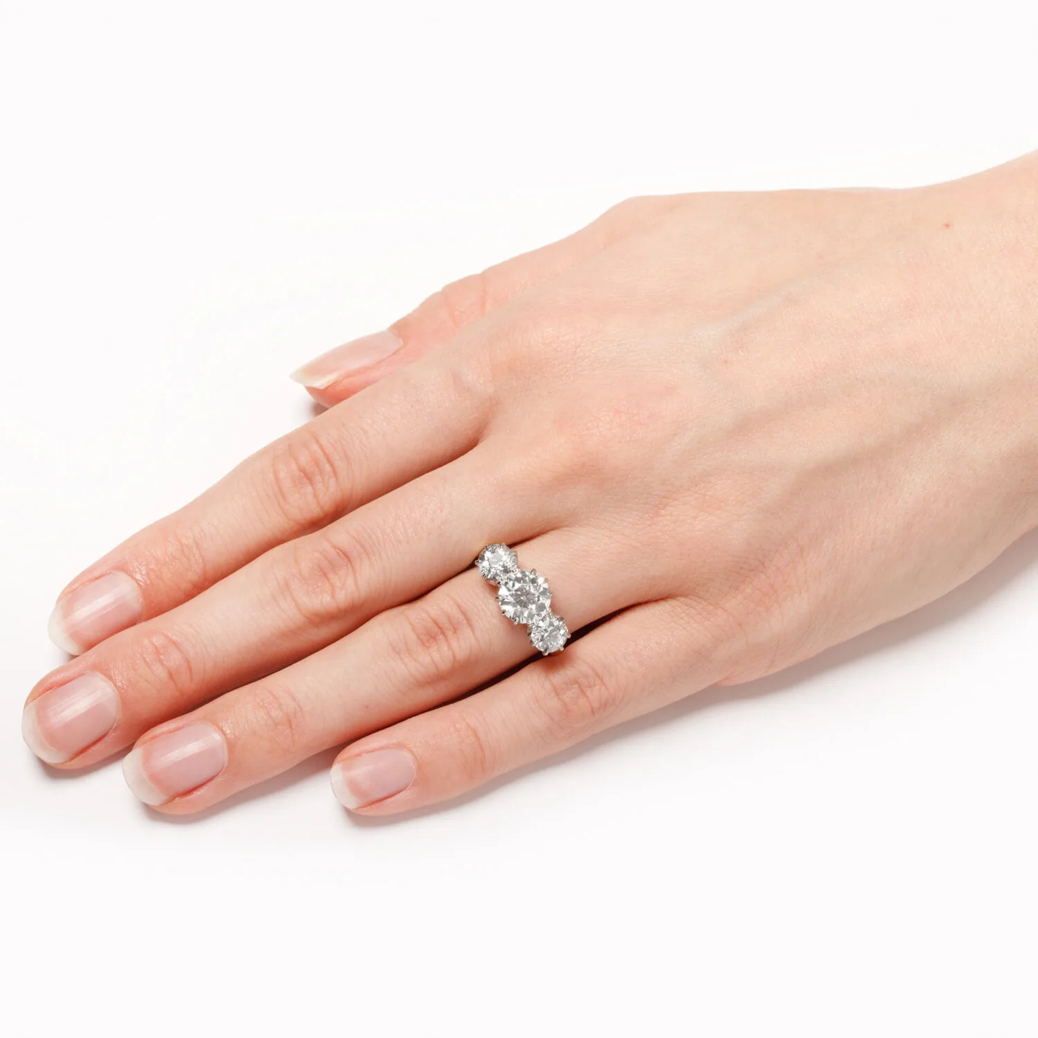 S3953 – Hand