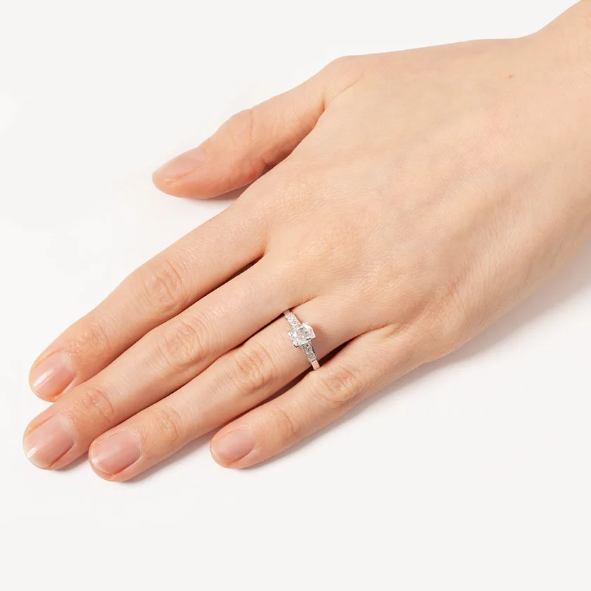 S4006 HAND