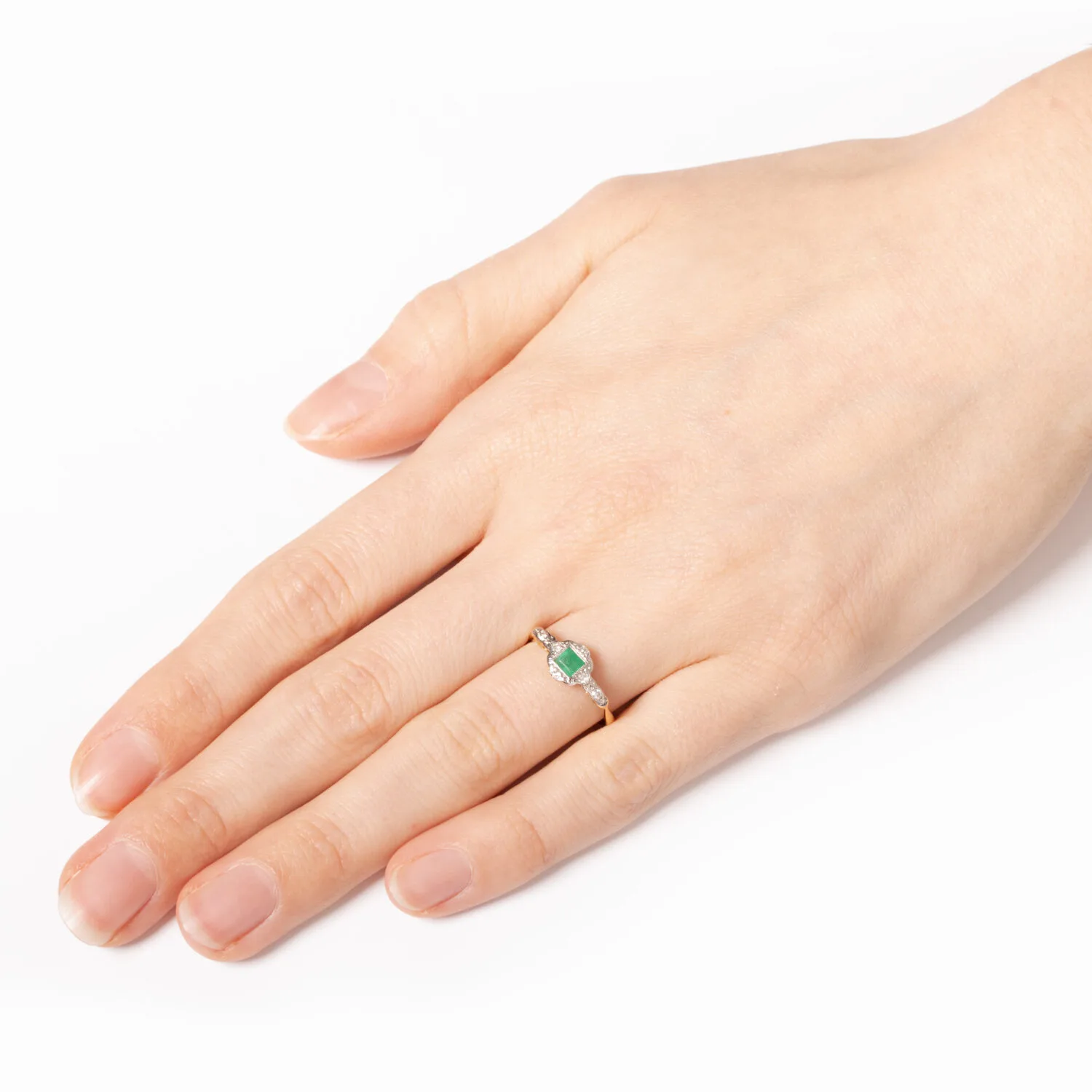S4069 HAND