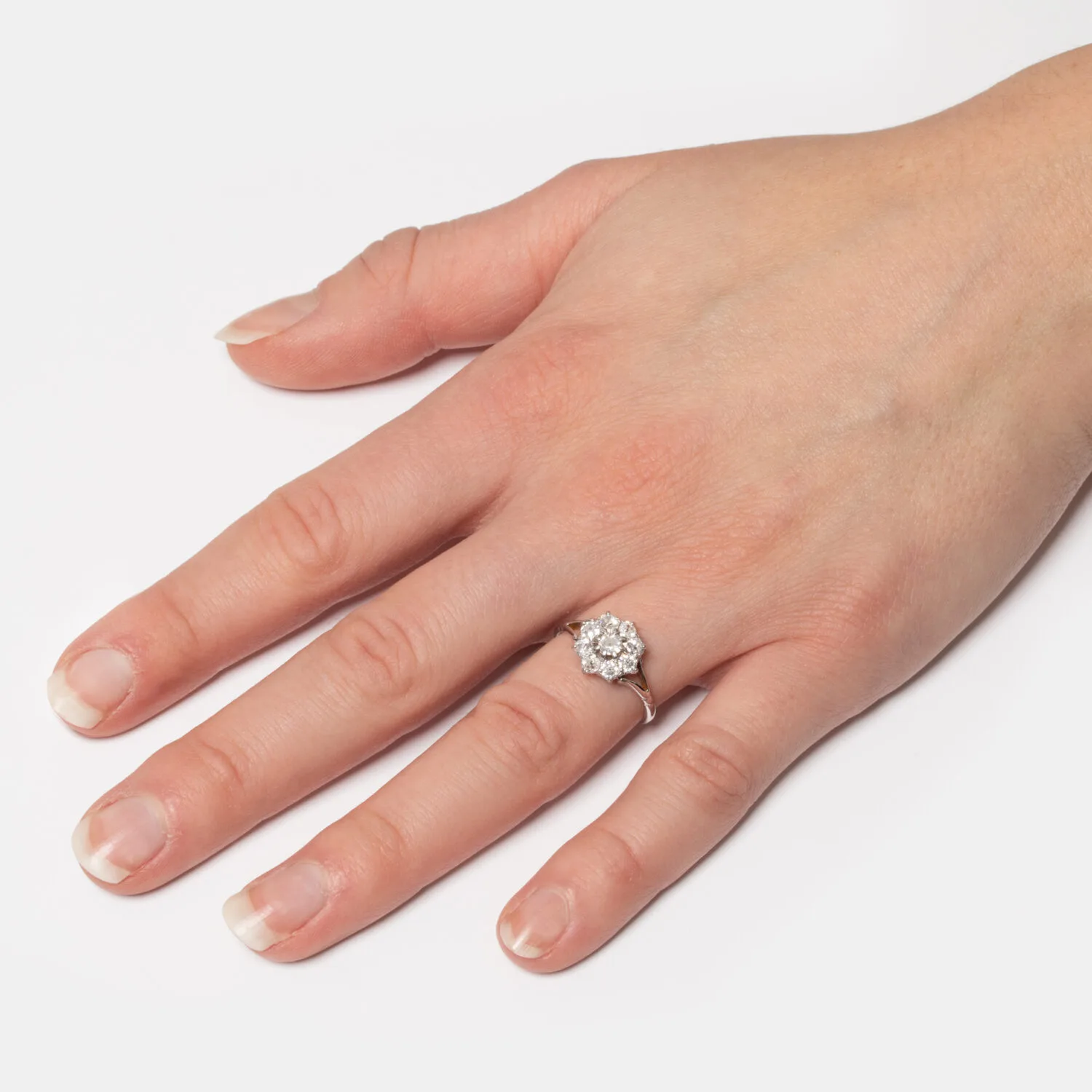 S4073 HAND