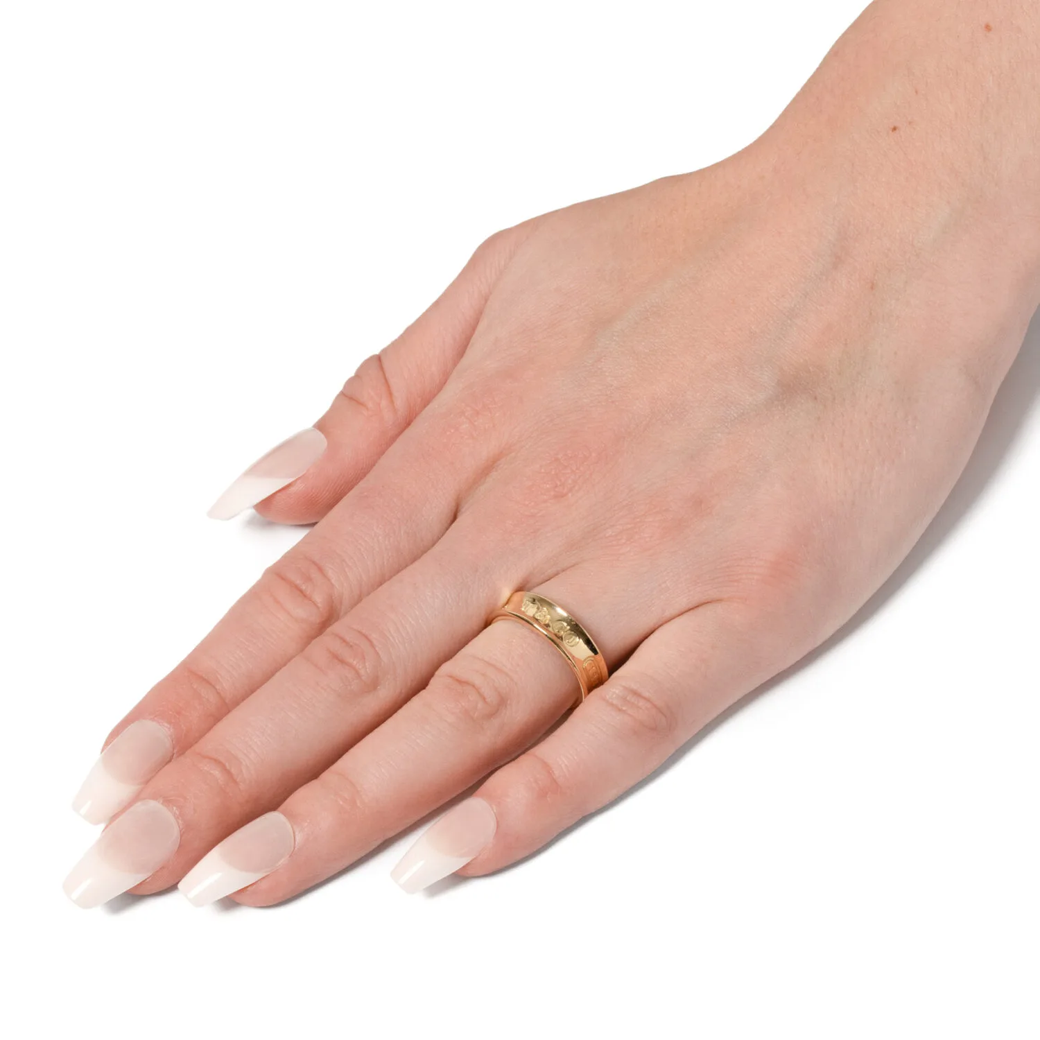 S5096 HAND