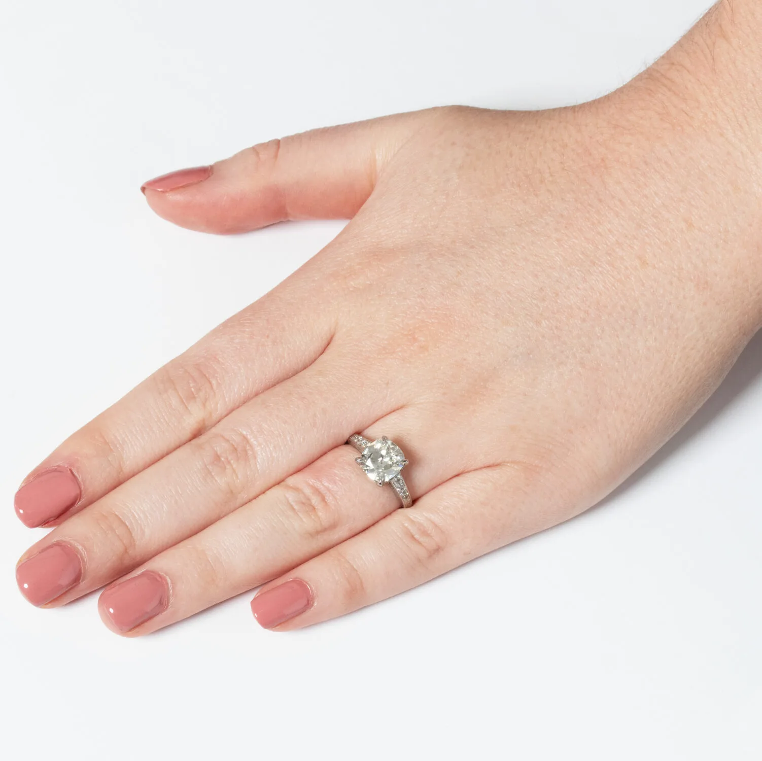 S5213 HAND