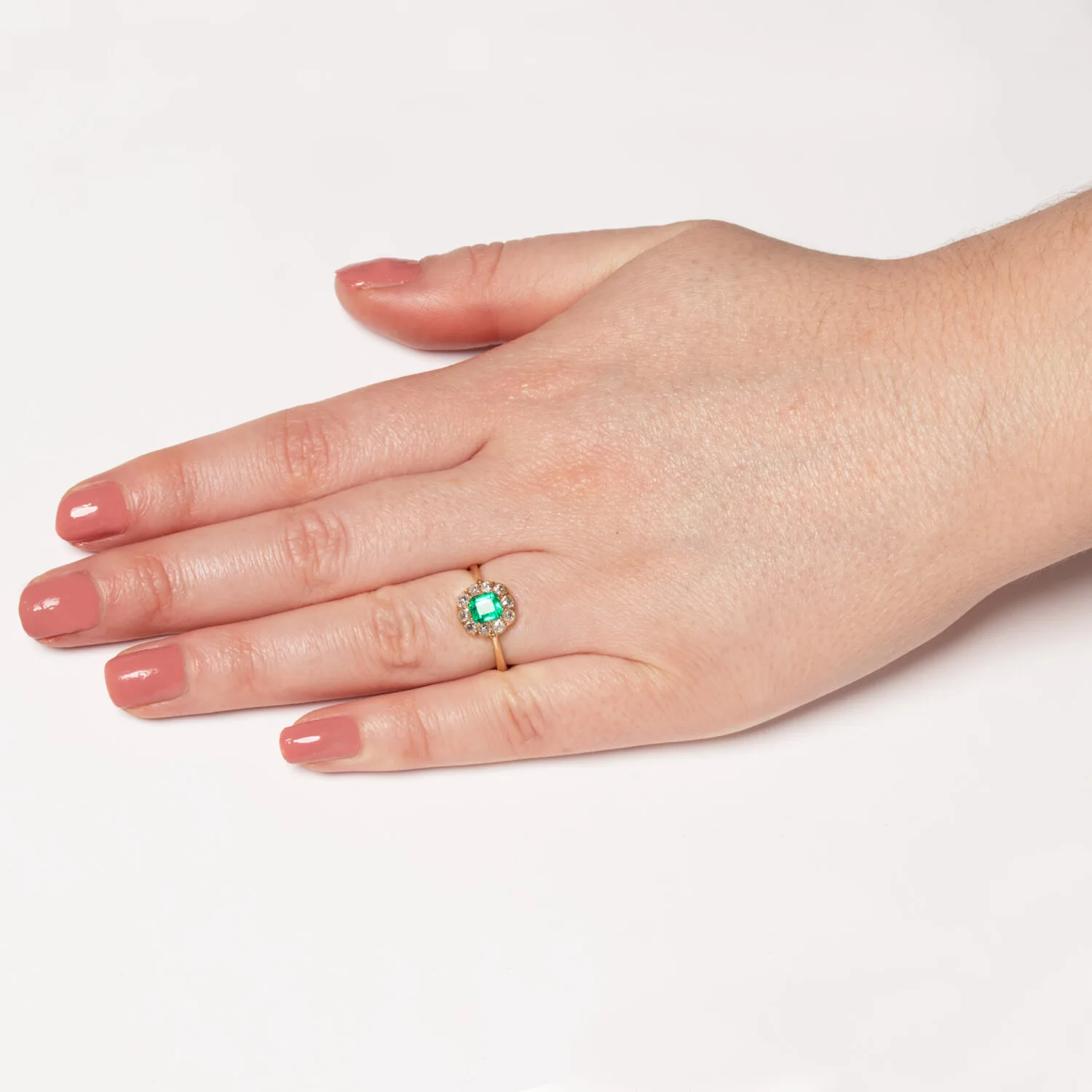 S5503 HAND