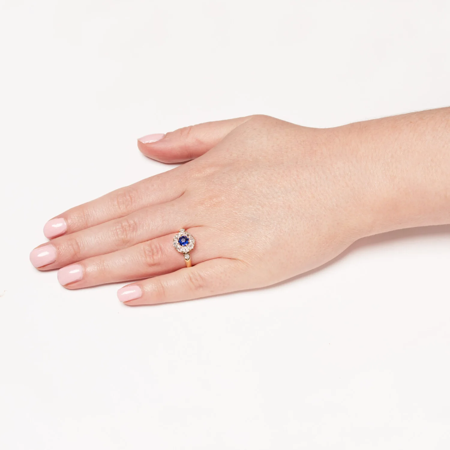 S5731 HAND